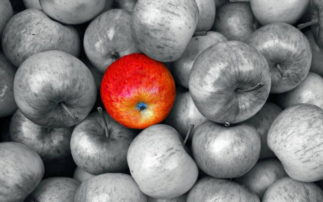A Holistic Nutrition Perspective by Rose O’Leary,  CSNN